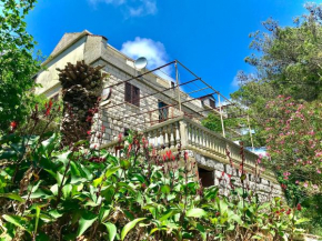 Villa Kralj Mljet